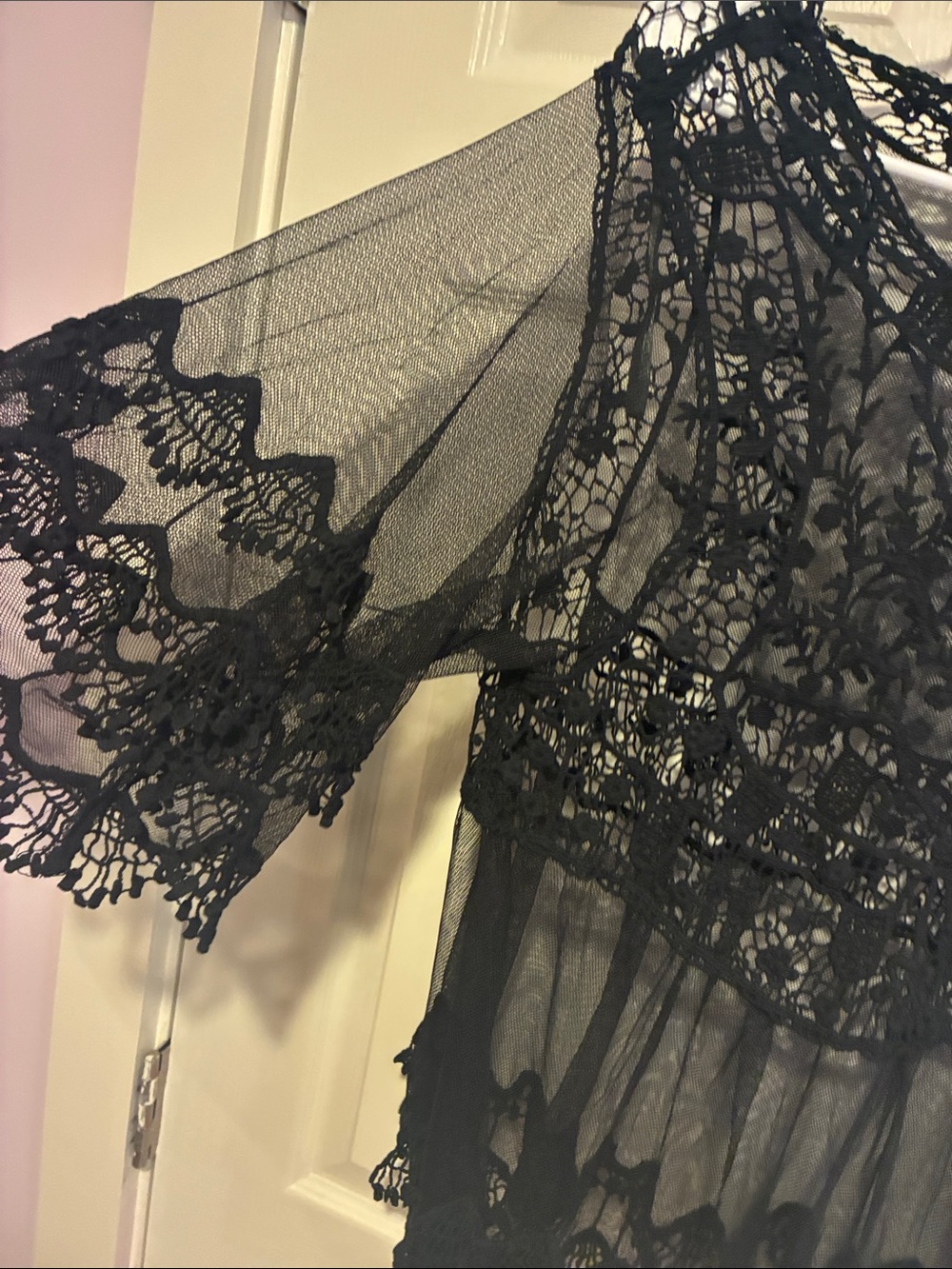 Rebellion Again Sheer Black Lace Top - Picture 5 of 8